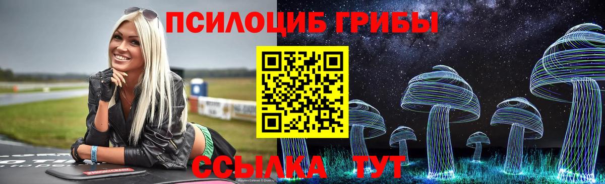 Псилоцибиновые грибы мицелий  Вход с VPN  Армавир 