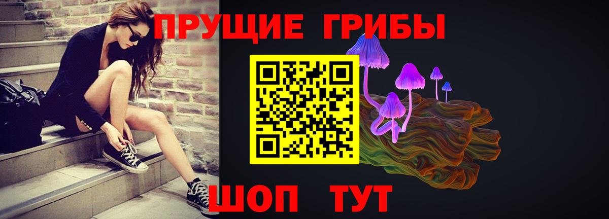 Псилоцибиновые грибы Cubensis Армавир